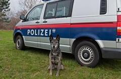 Neue Helfer auf vier Pfoten stehen vor vielfältigen Aufgaben